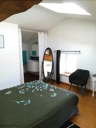 Tek Büyük Yataklı Oda (La Trézence)