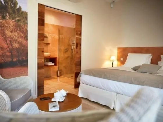 Deluxe Tek Büyük Yataklı Oda, Özel Banyo