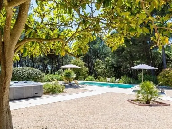 Deluxe Tek Büyük Yataklı Oda, Özel Banyo