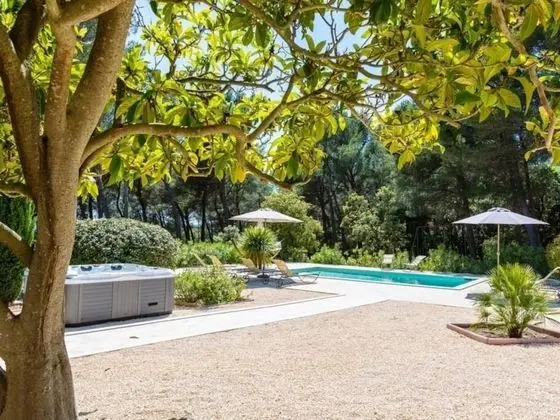 Deluxe Tek Büyük Yataklı Oda, Özel Banyo