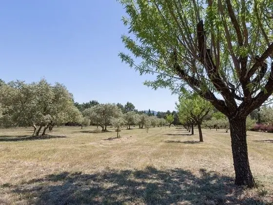Deluxe Tek Büyük Yataklı Oda, Özel Banyo