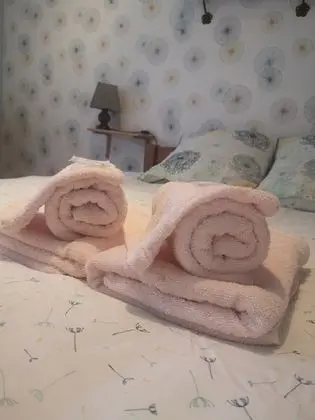 Classic Tek Büyük Yataklı Oda (Fleur)