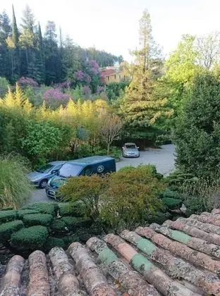 Economy Tek Büyük Yataklı Oda (Concert)