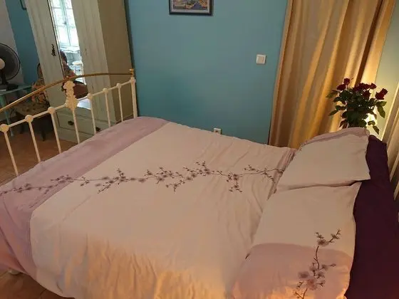 Superior Tek Büyük Yataklı Oda (Bleu)