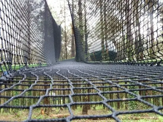 Ağaç Ev (Palombes)