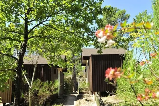 Dağ Evi (2/4 personnes)