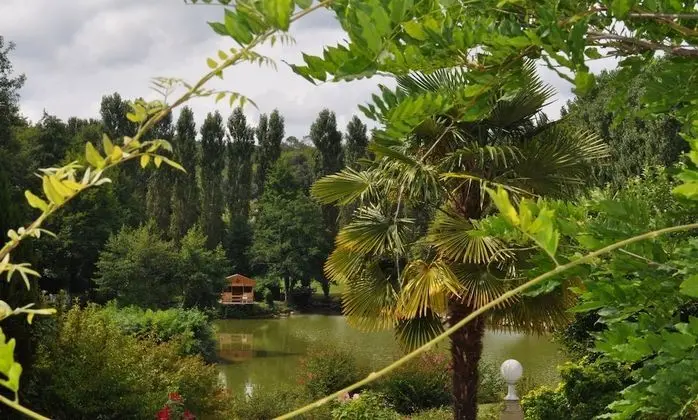 İki Ayrı Yataklı Oda