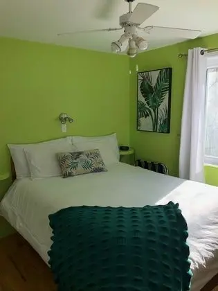 Standard Oda, 1 Büyük (Queen) Boy Yatak, Özel Banyo, Şehir Manzaralı