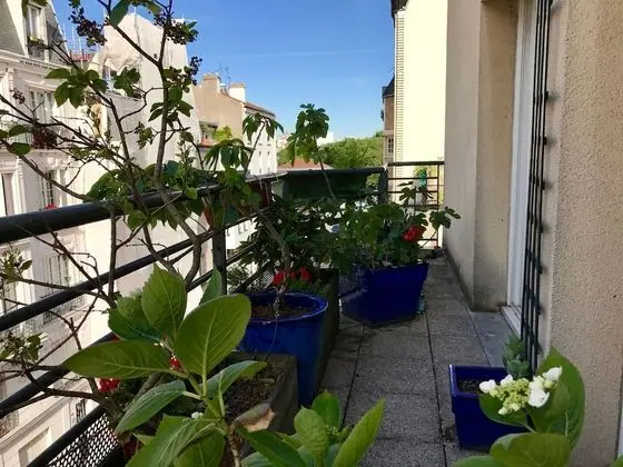 Deluxe Çatı Katı Süiti (Penthouse)