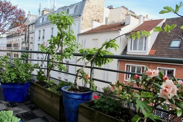 Deluxe Çatı Katı Süiti (Penthouse)