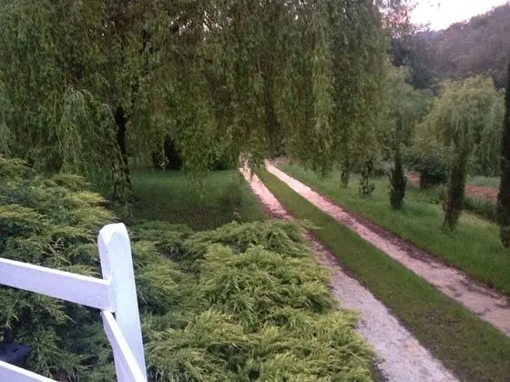 Kır Evi (Gîte Le Roi)