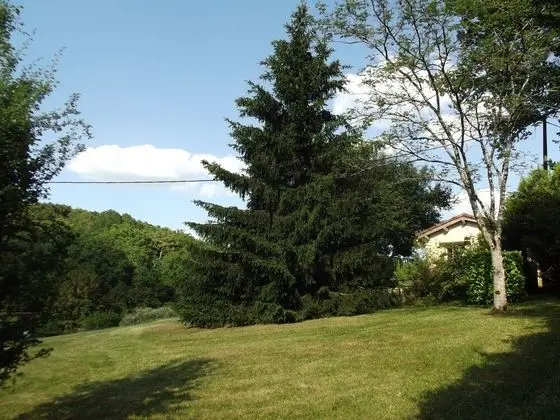 Tek Büyük Yataklı Oda, Bahçe Manzaralı (Maria Antonietta)