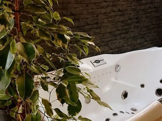 Deluxe Tek Büyük Yataklı Oda, Banyolu/Duşlu, Bahçe Manzaralı