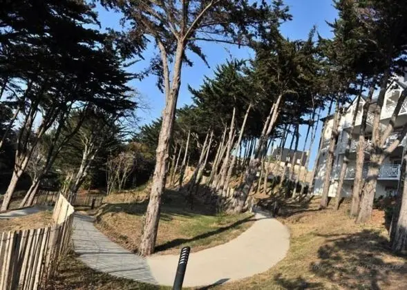 Standard Apart Daire, 1 Yatak Odası, Bahçe Manzaralı