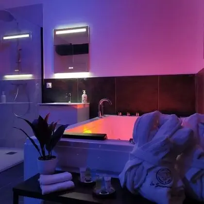 Luxury Apart Daire, Sıcak Su Havuzu (Le Nid Douillet)