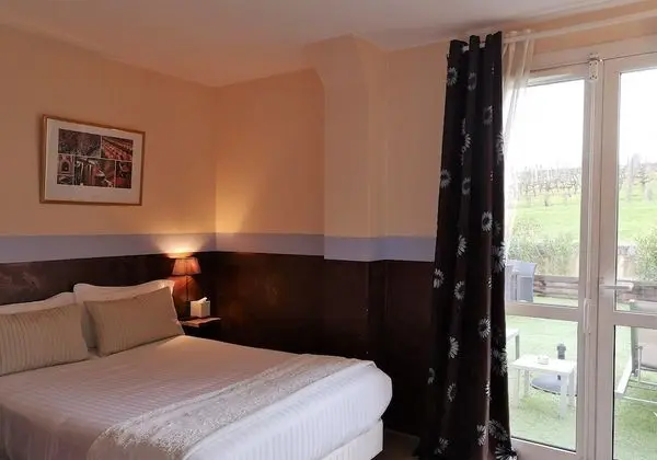 Standard Tek Büyük Yataklı Oda, Bahçe Manzaralı (standard clim)