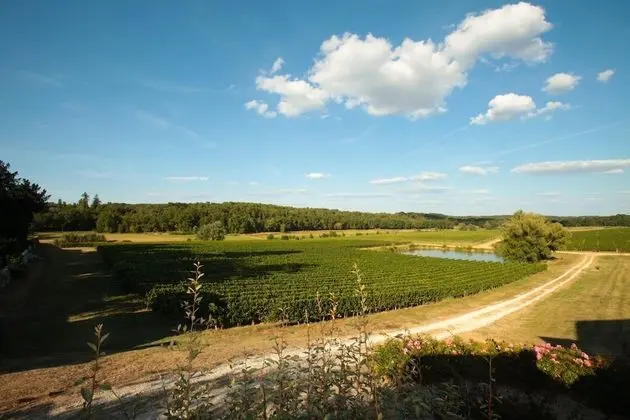 Standard Tek Büyük Yataklı Oda, Bahçe Manzaralı (standard clim)