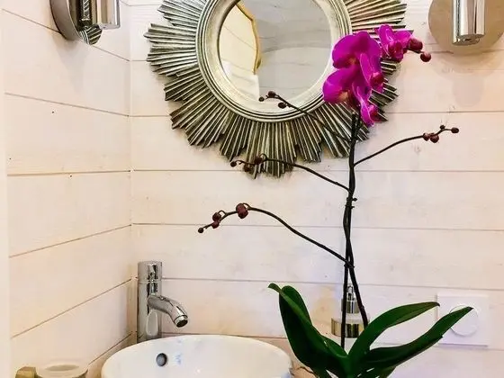 Kulübe, 1 Çift Kişilik Yatak, Sigara İçilmez (Jaipur)