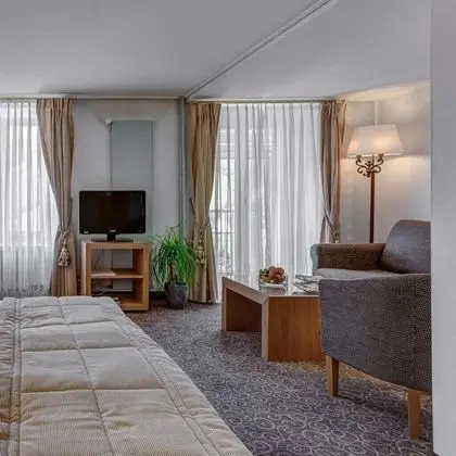 Deluxe Oda, Balkon, Dağ Manzaralı