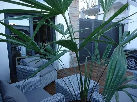 Deluxe Apart Daire, Sıcak Su Havuzu