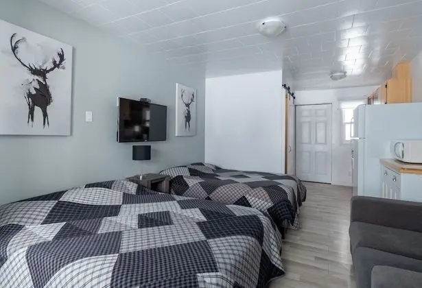 Family Stüdyo, 2 Çift Kişilik Yatak (La scintillante)