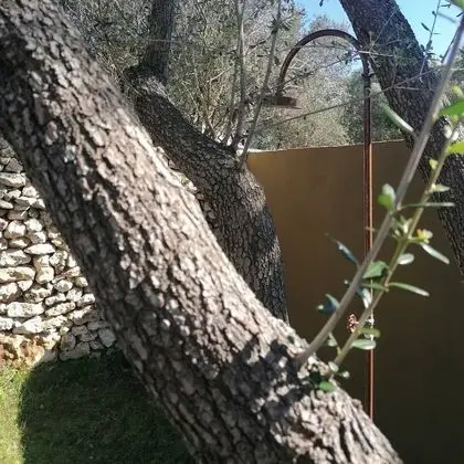 Superior Süit, Sıcak Su Havuzu