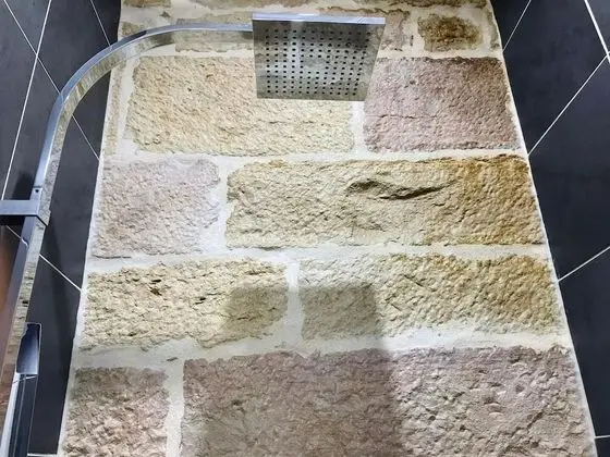 Deluxe Stüdyo Süit