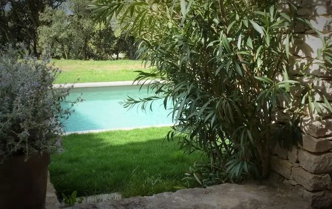 Comfort Oda, 1 En Büyük (King) Boy Yatak, Balkon, Havuz Manzaralı