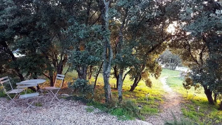 Superior Oda, 1 En Büyük (King) Boy Yatak, Havuz Kullanımı, Zemin Kat