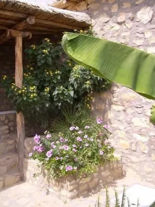 Comfort Tek Büyük Yataklı Oda (Bali)