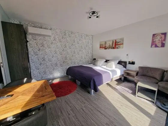 Stüdyo (Appartement Annexe)