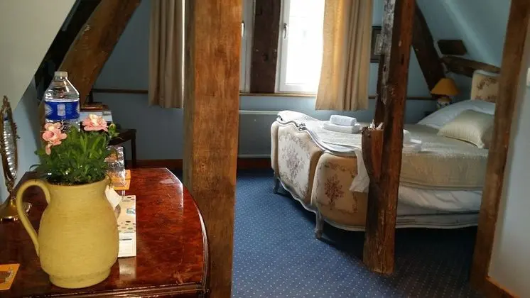 Deluxe Tek Büyük Yataklı Oda, Şehir Manzaralı (Fargeon)