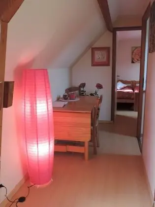 Süit