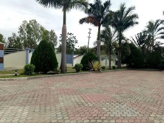 Standard Tek Büyük Yataklı Oda, Sigara İçilmez