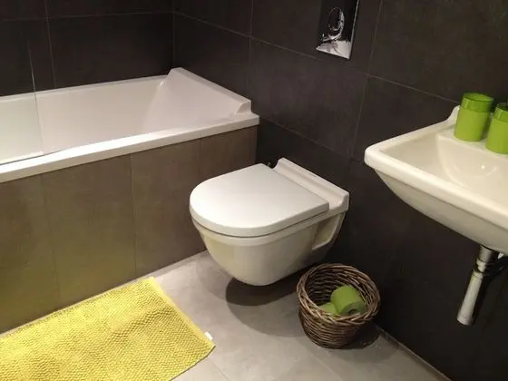 Apart Daire, Özel Banyo, Bahçe Manzaralı (Anis)