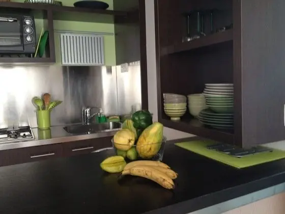 Apart Daire, Özel Banyo, Bahçe Manzaralı (Anis)