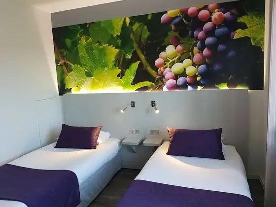 Superior İki Ayrı Yataklı Oda