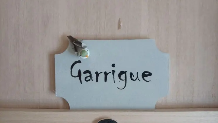 Tek Büyük Yataklı Oda (Garrigue)