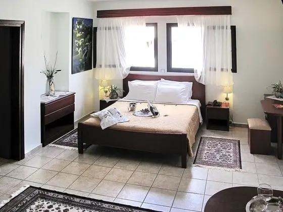 Standard Double Room Single Use