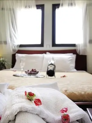 Standard Double Room Single Use