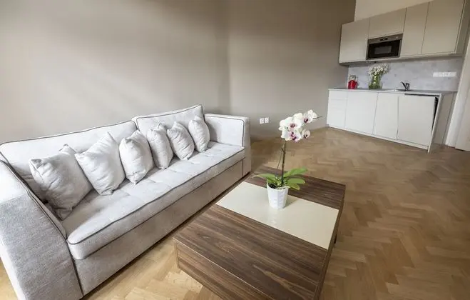 Standard Süit, 1 Yatak Odası