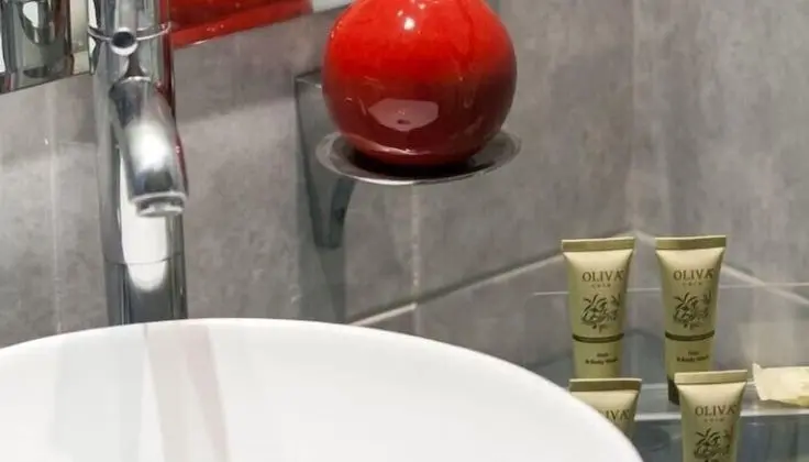 Superior Tek Büyük Yataklı Oda