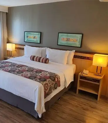 Deluxe Tek Büyük Yataklı Oda, 1 En Büyük (King) Boy Yatak