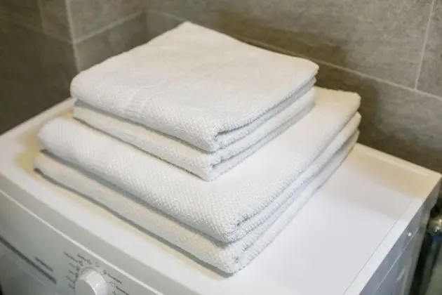 Deluxe Stüdyo Süit