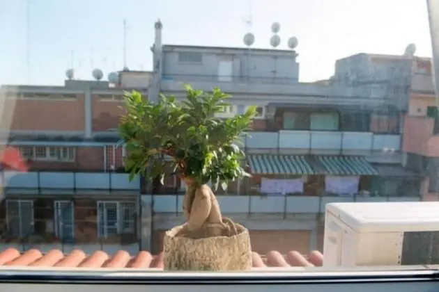 Tek Büyük Yataklı Oda, Banyolu/Duşlu