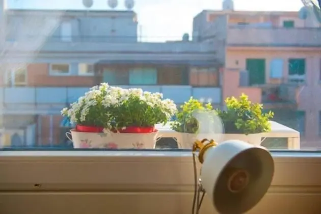 Tek Kişilik Oda, Banyolu/Duşlu