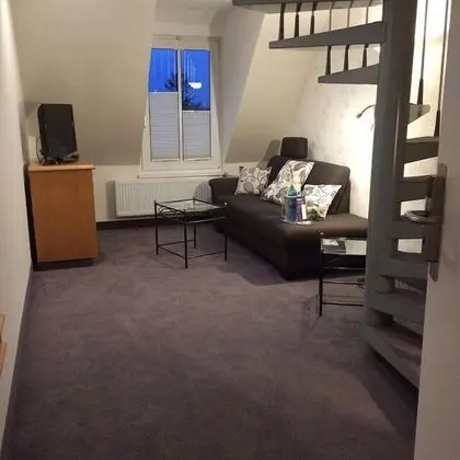 Apart Daire (Duplex)