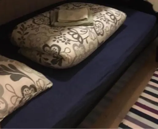 Comfort Kulübe