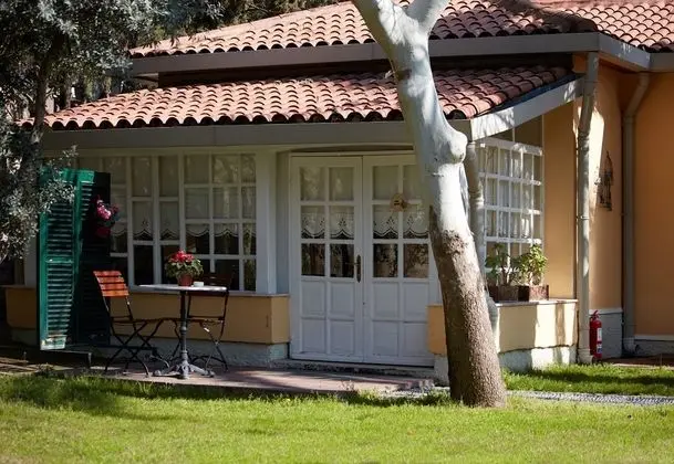 Deluxe Jakuzili Suite,Kara Manzaralı