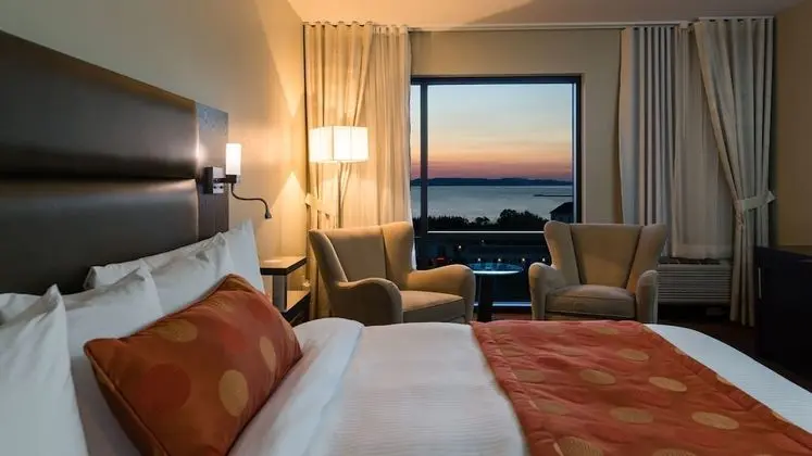 Deluxe Oda, 1 En Büyük (King) Boy Yatak, Nehir Manzaralı